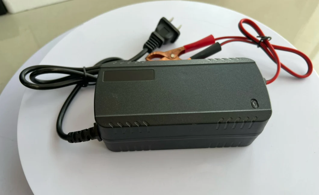 Factory Direct Supply 12V3a 12V5a 12V10A Lead Acid Battery Charger Used for Electric Car Battery