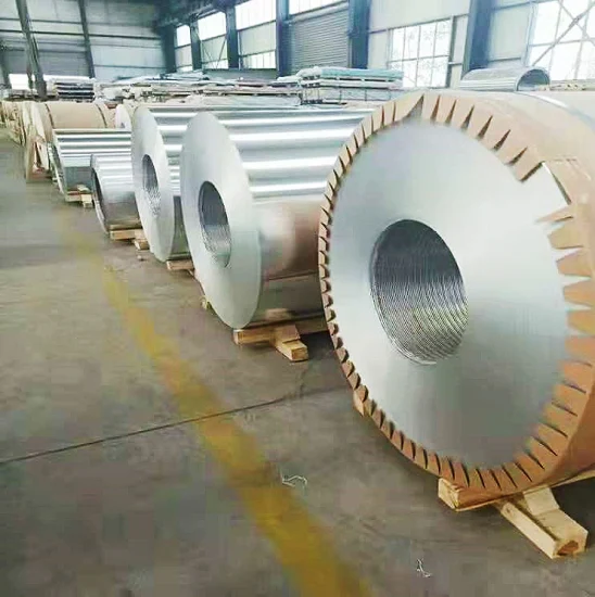 Excellent Stainless Steel Flat Plate Stainless Steel Coil and Other Stainless Steel Products with Complete Spe Chinese Material Supplier